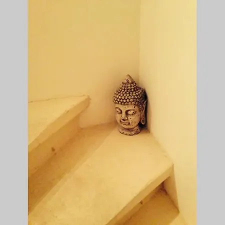 Timeless Elegance : Centre *