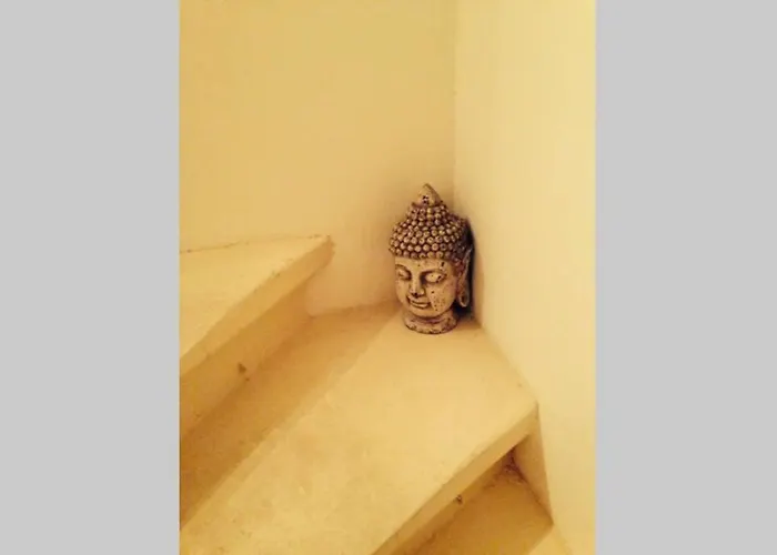 Timeless Elegance : Centre *